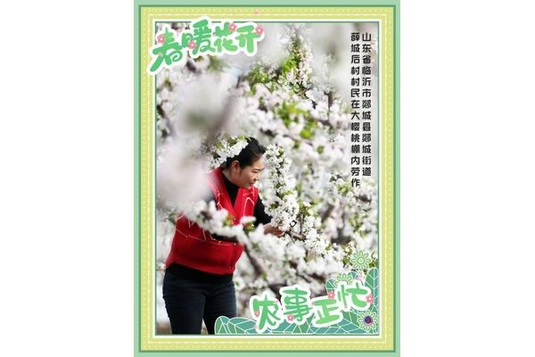 春暖花开最新