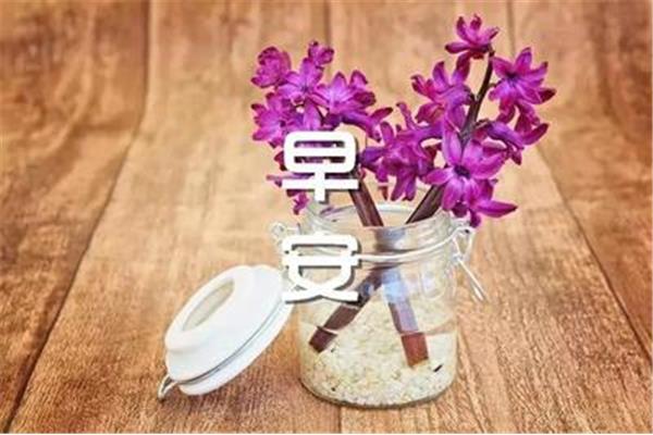 怎么说早安最撩人