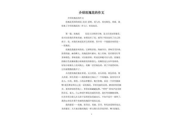 玫瑰花作文