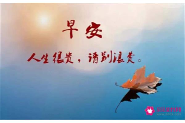怎么说早安最撩人