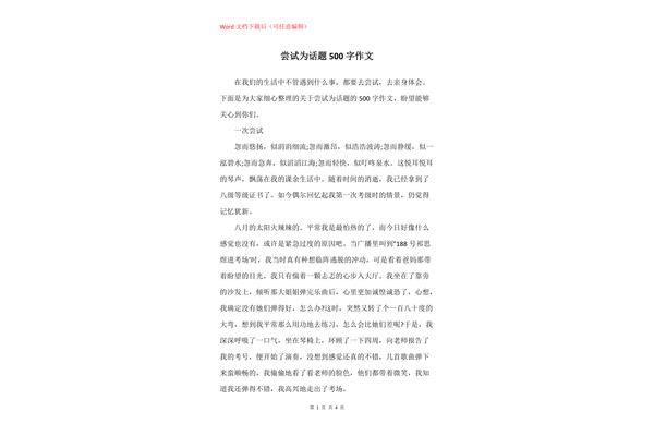 尝试作文500字