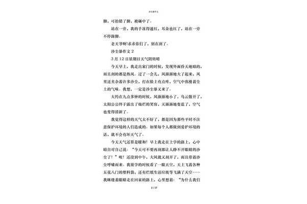 沙尘暴作文