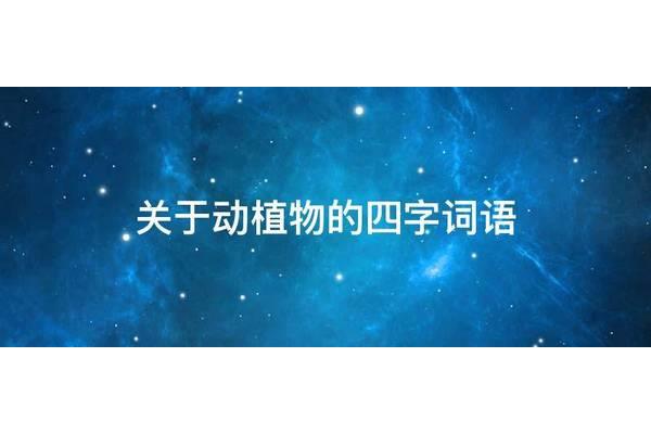 植物的四字词语