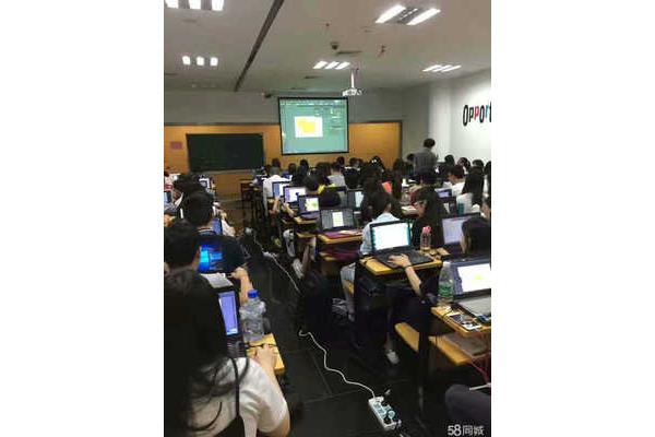 软件培训方案