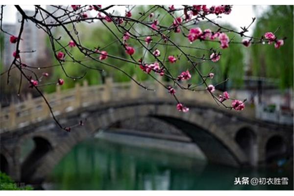 关于春雨的诗