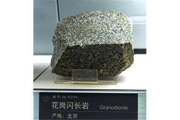 花岗闪长岩