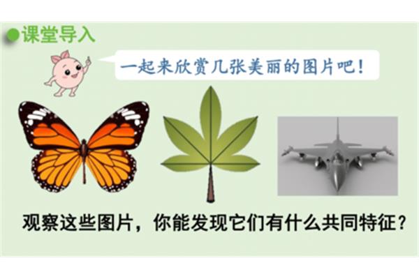 轴对称图形ppt