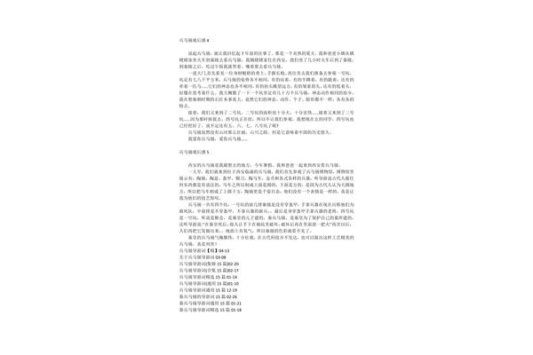兵马俑观后感