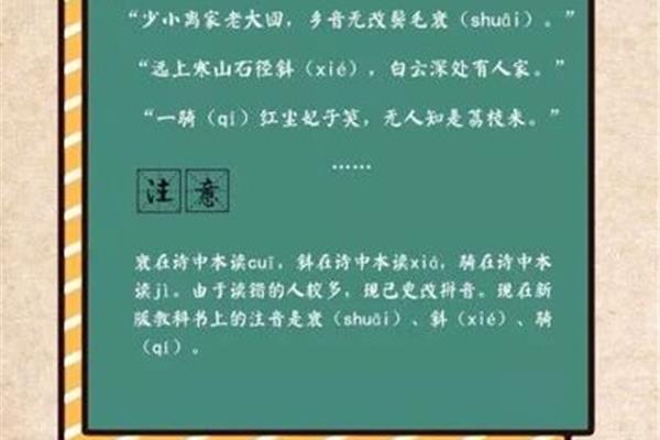 鬓毛衰的正确读音