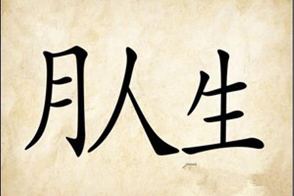 3个字的成语