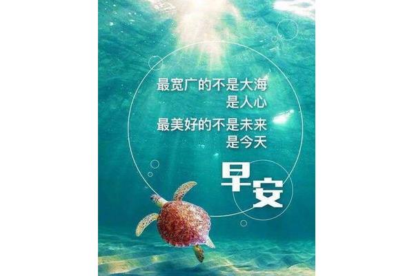 每日早上问候语