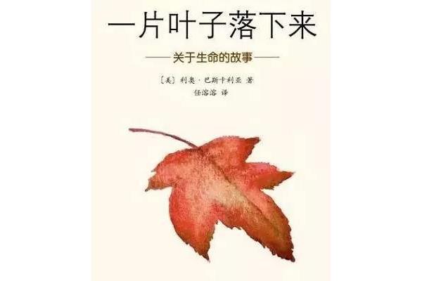 一片叶子落下来