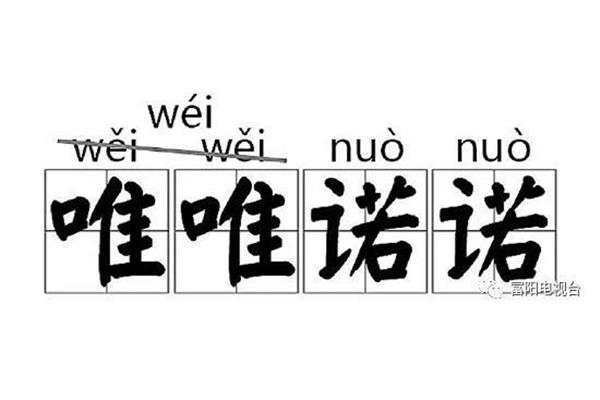 鬓毛衰的正确读音