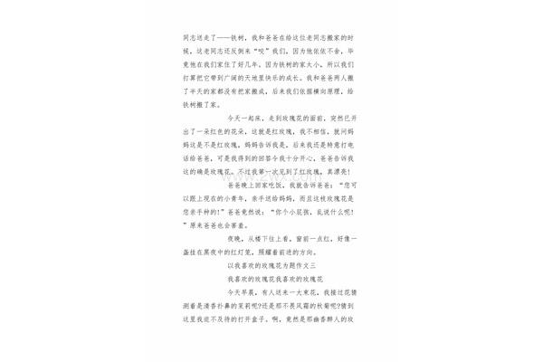玫瑰花作文