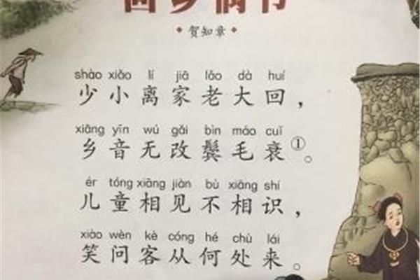 鬓毛衰的正确读音