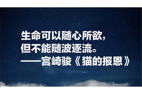 人生哲理名言
