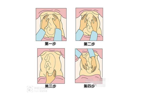 一般几周入盆
