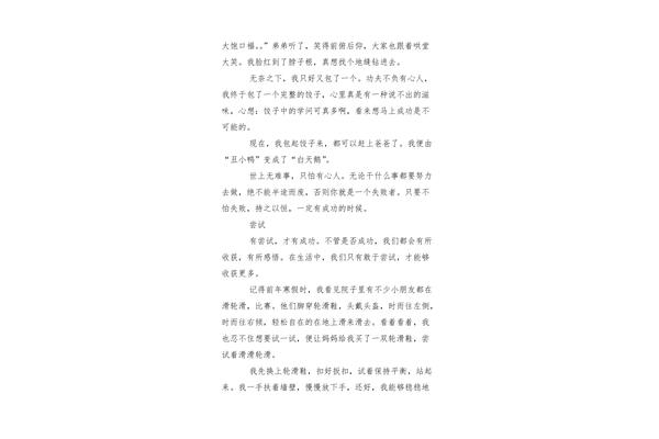 尝试作文500字