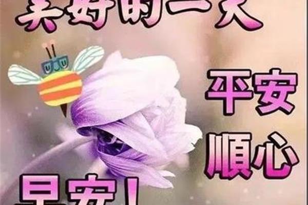 怎么说早安最撩人
