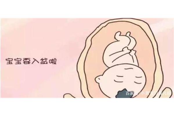 一般几周入盆