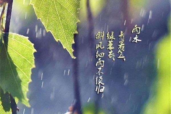 关于春雨的诗