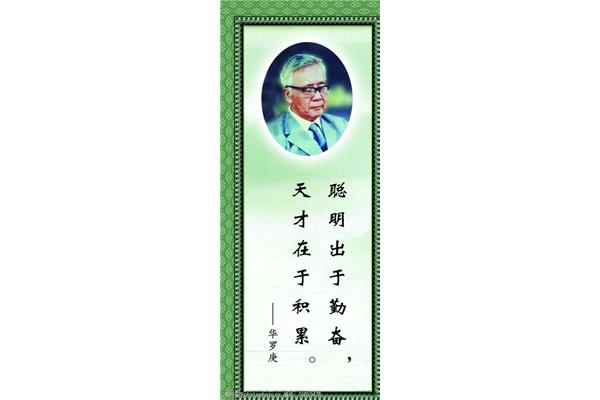 数学的名人名言