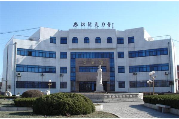 石油大学胜利学院