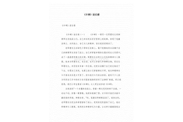丰碑读后感