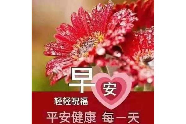 怎么说早安最撩人
