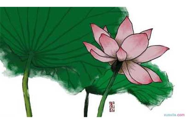 关于莲花的诗