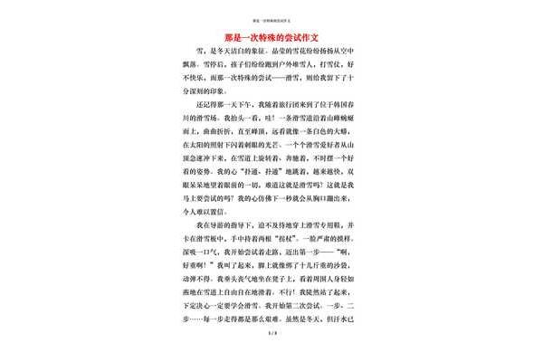 尝试作文500字