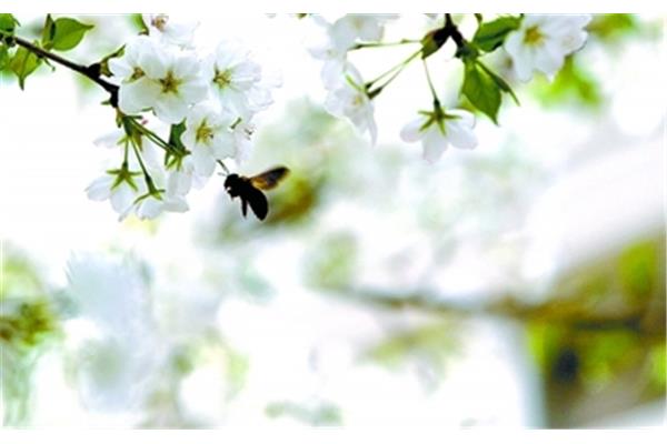 春暖花开最新