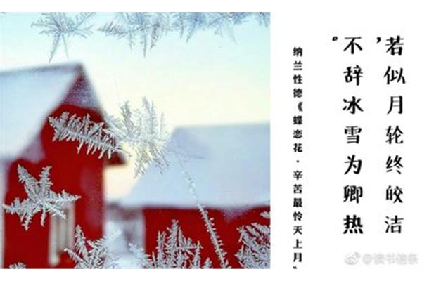 描写冬雪的诗句