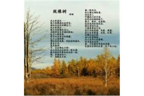 致橡树的作者