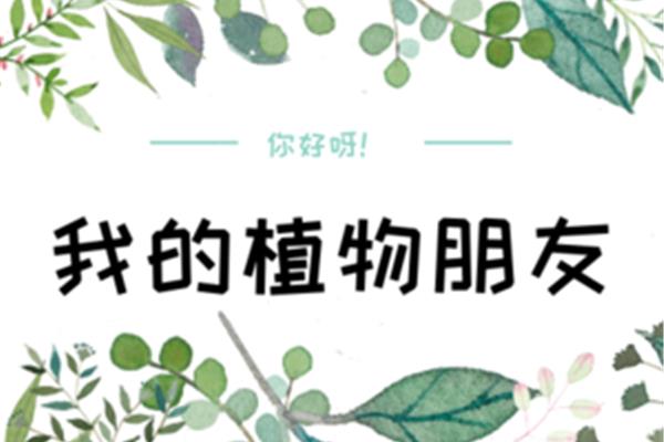 植物怎么写