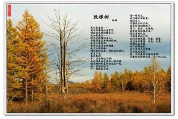 致橡树的作者