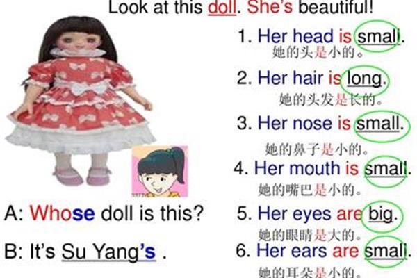 头用英语怎么说