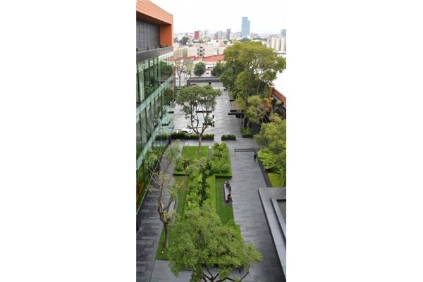 校园景观设计