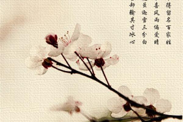 花的诗句古诗