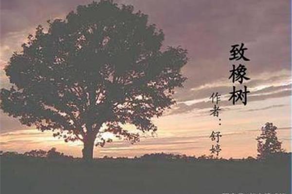 致橡树的作者