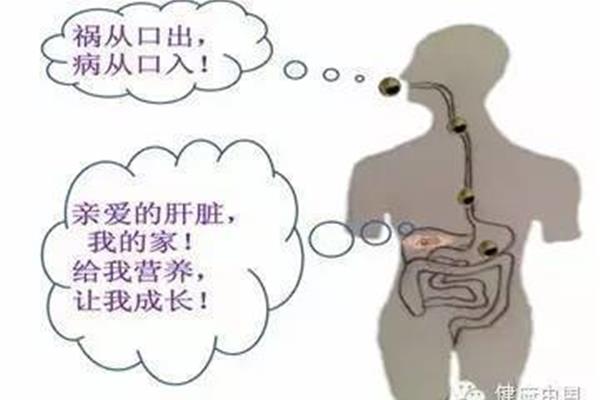 病从口入祸从口出
