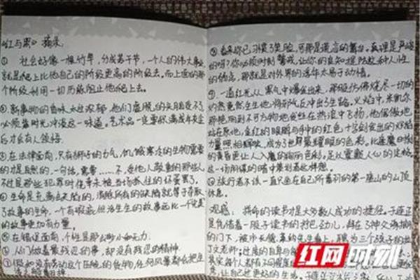 红与黑读书笔记