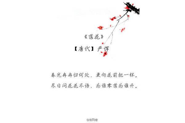 花的诗句古诗