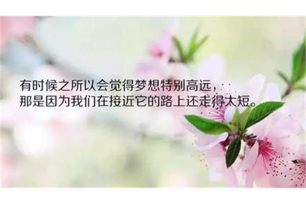 人生感悟短句