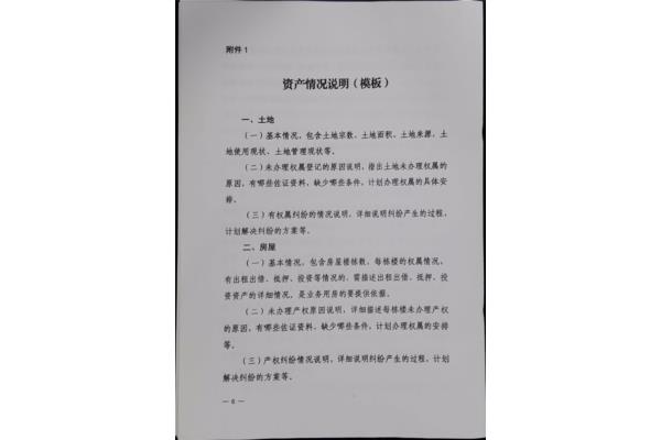 资产情况说明