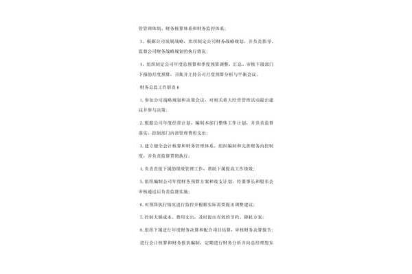 财务总监工作内容