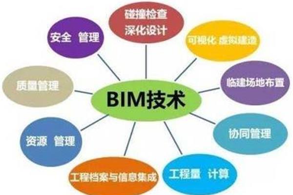 bim是什么意思