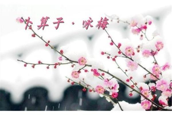 陆游卜算子咏梅
