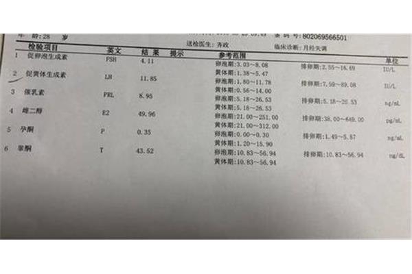 黄体生成素低