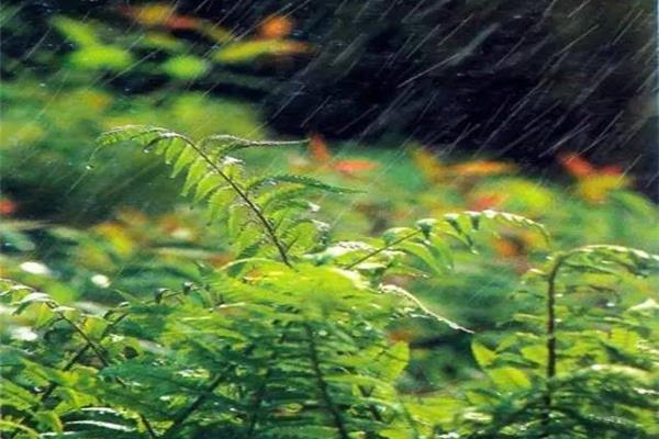 春雨淅沥沥